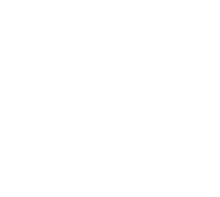 bg-image